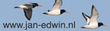 www.jan-edwin.nl